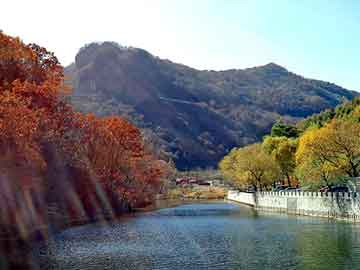 管家婆黑白马报图库，氟橡胶骨架油封